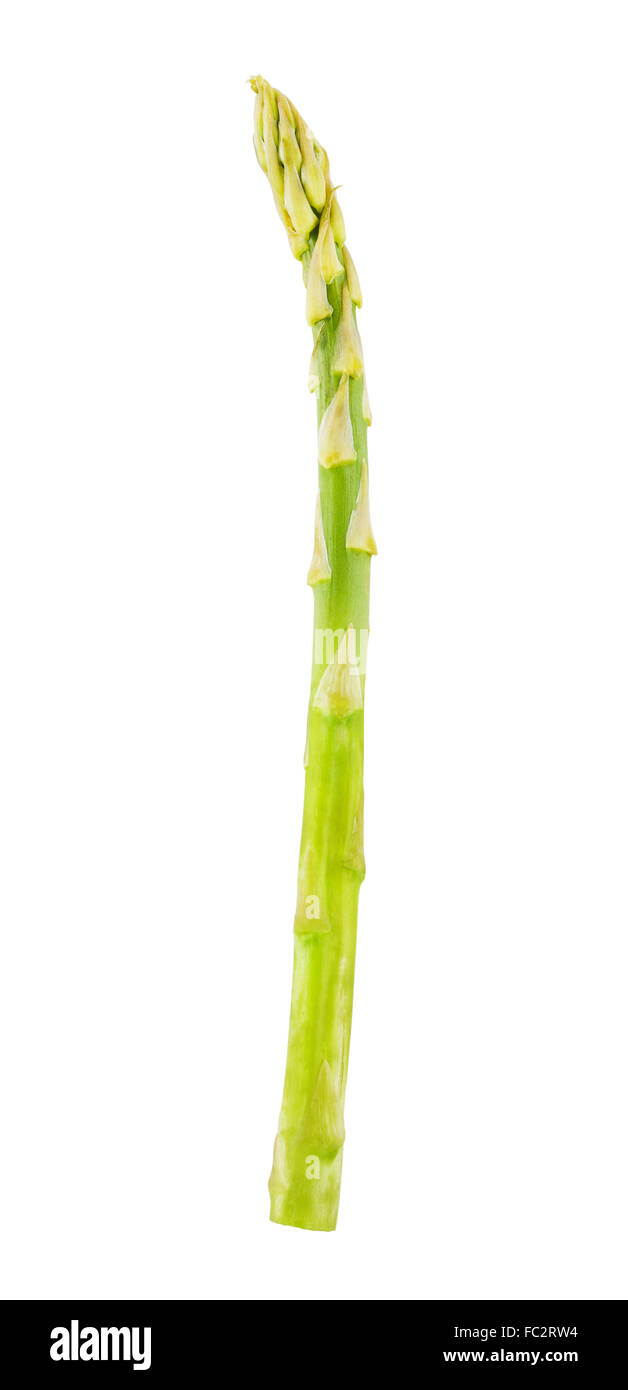 stalk of fresh green asparagus, isolated on white Stock Photo Alamy