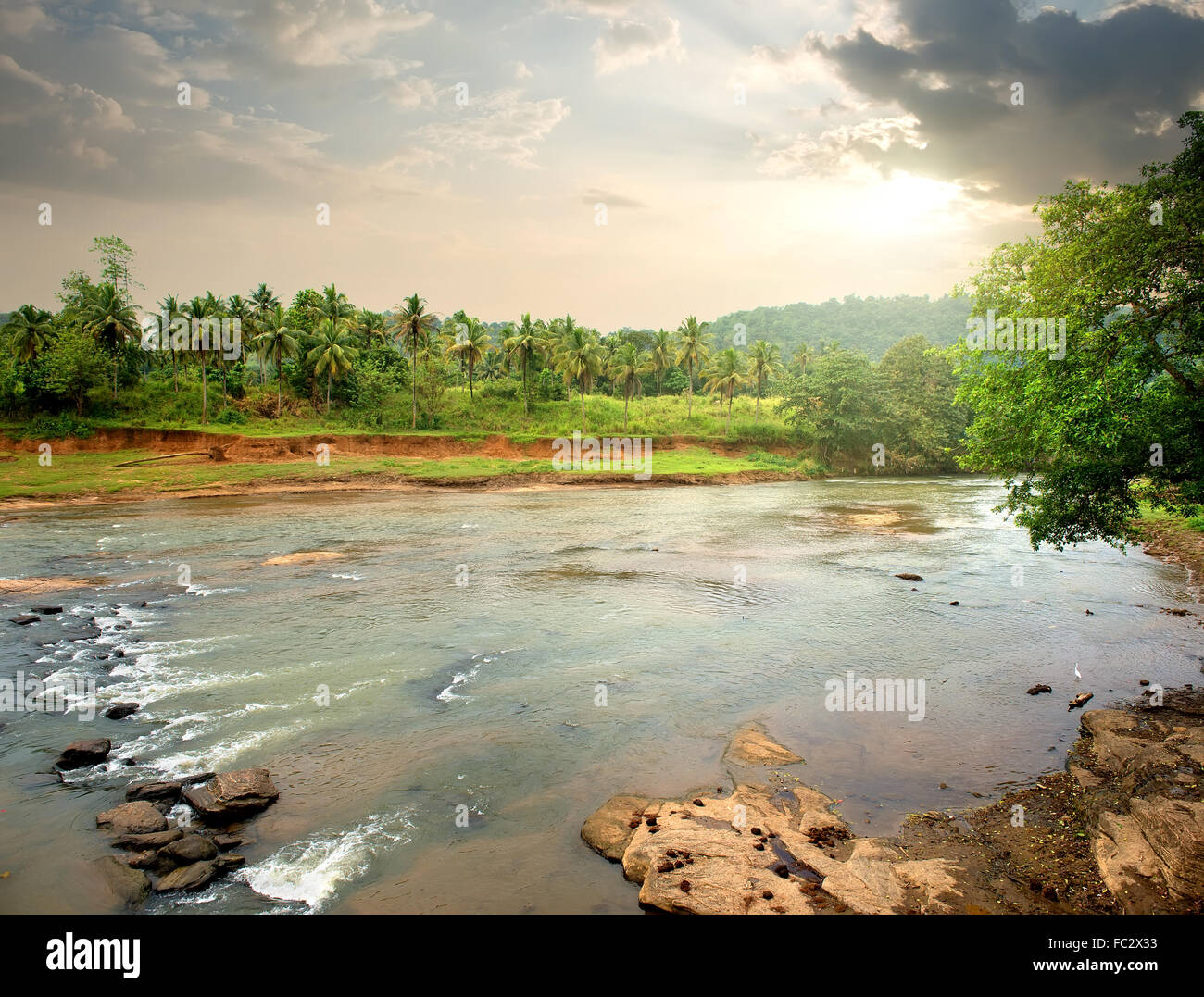 Sunset in jungle hi-res stock photography and images - Alamy