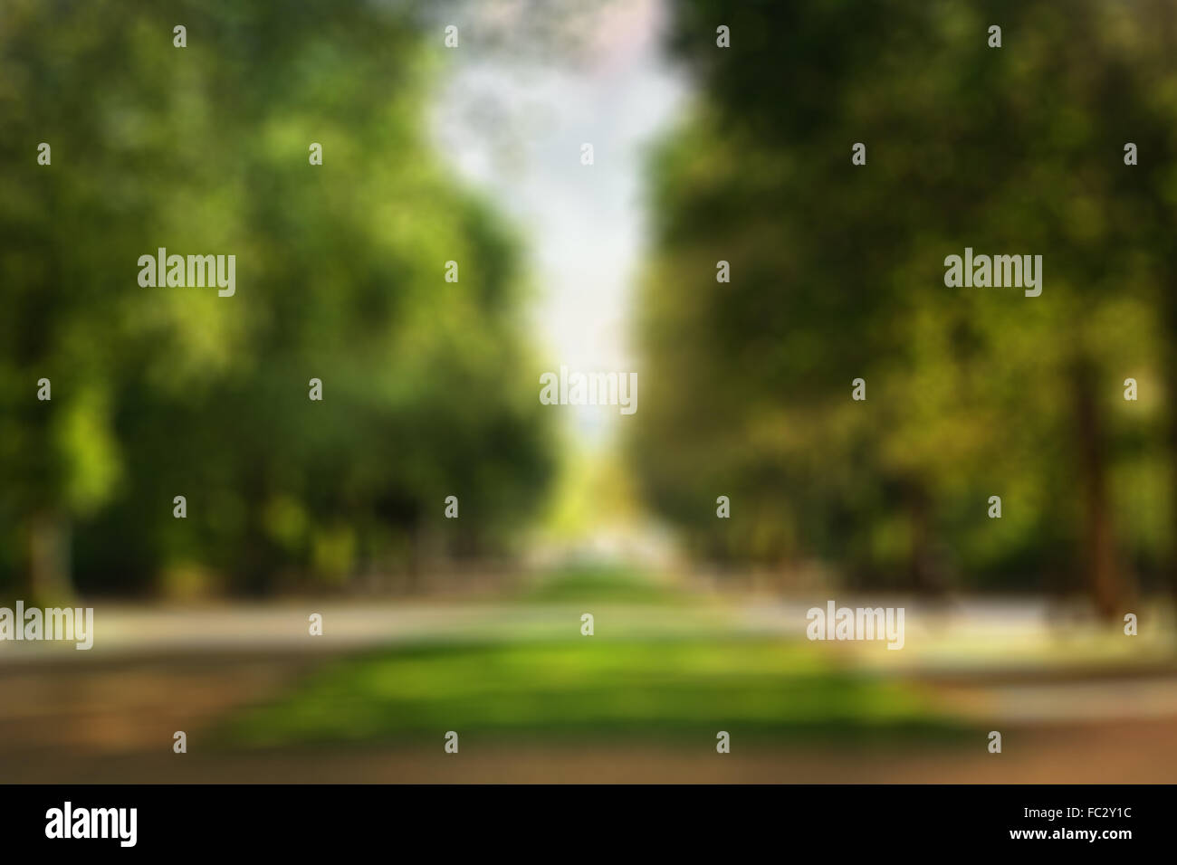 Summer city park blurred background hi-res stock photography and images ...