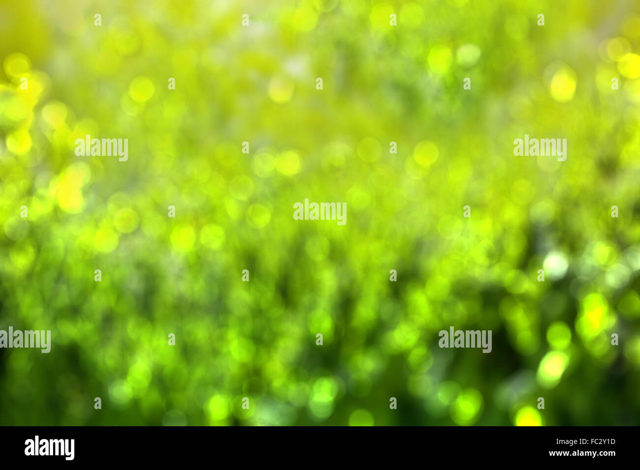 abstract green background with bokeh Stock Photo - Alamy