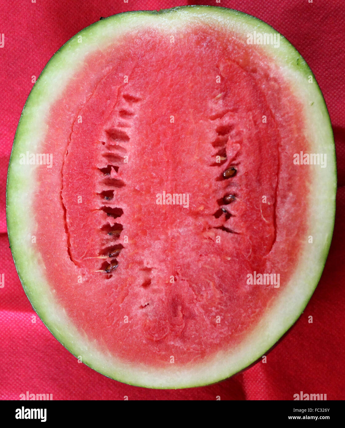 Citrullus lanatus, watermelon, cut open, popular summer fruit with mottled skin and red juicy soft flesh, black seeds, Stock Photo