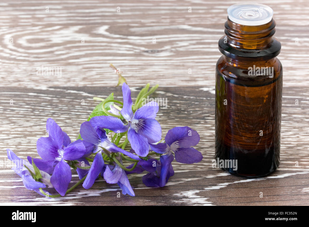 Bach flower remedies of violets Stock Photo