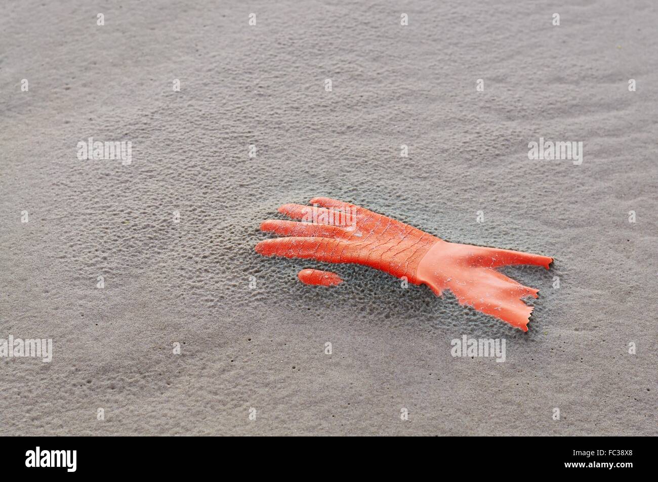 Flotsam: Protective Glove Stock Photo