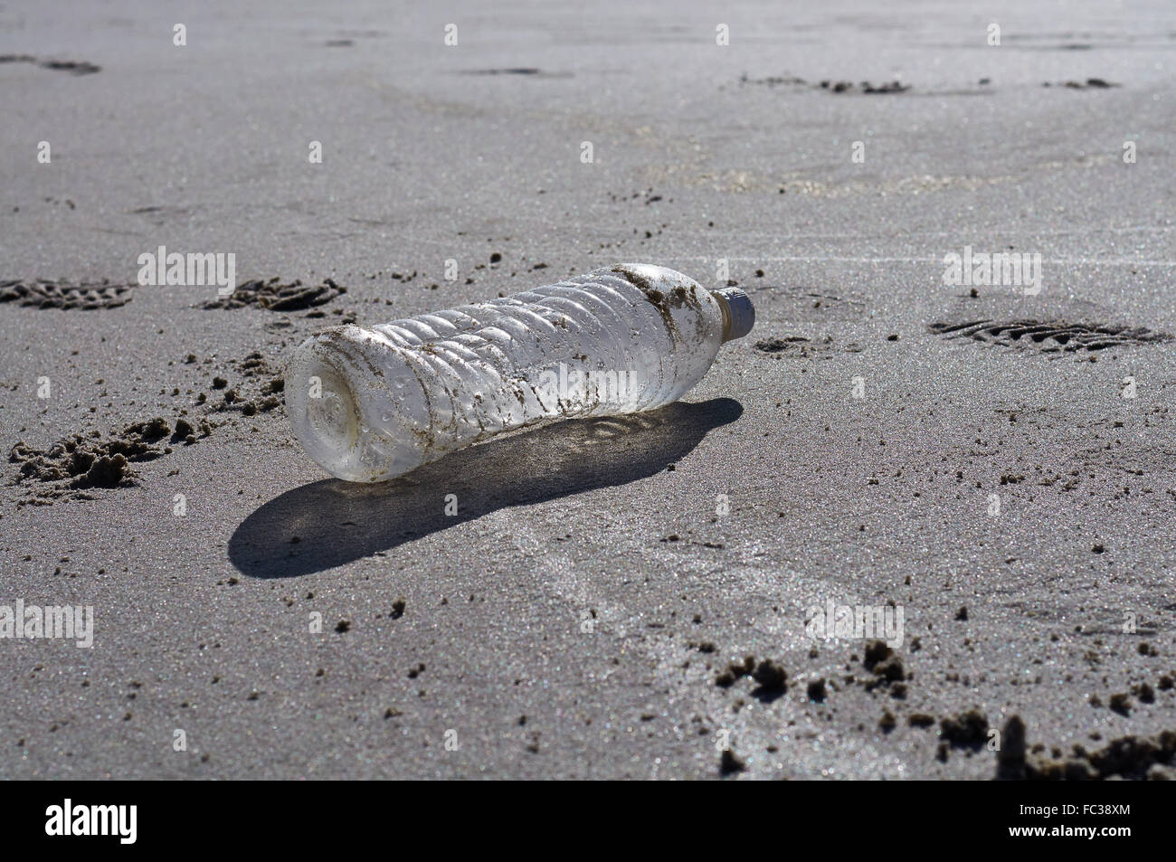 Flotsam: Plastic Bottle Stock Photo