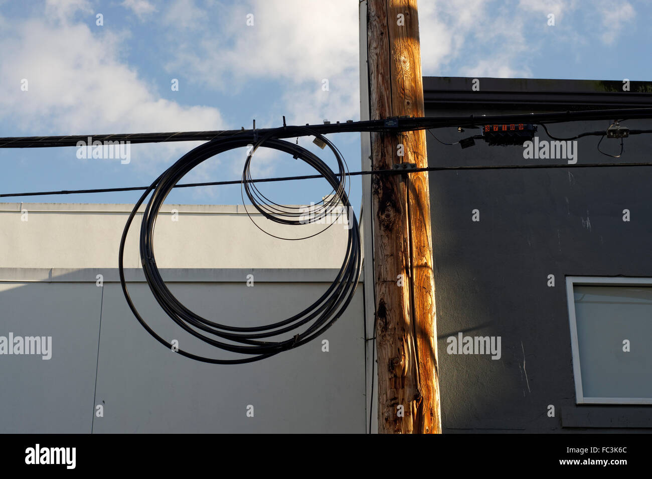 Coiled wire hanging from a wooden telephone pole Stock Photo Alamy