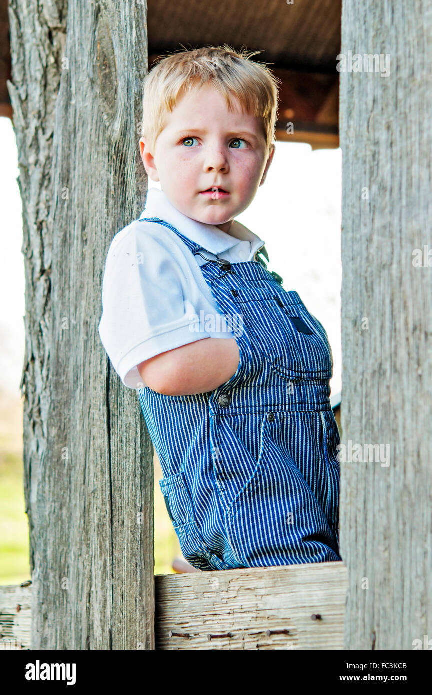 boy with freckles sitting in barn Stock Photo
