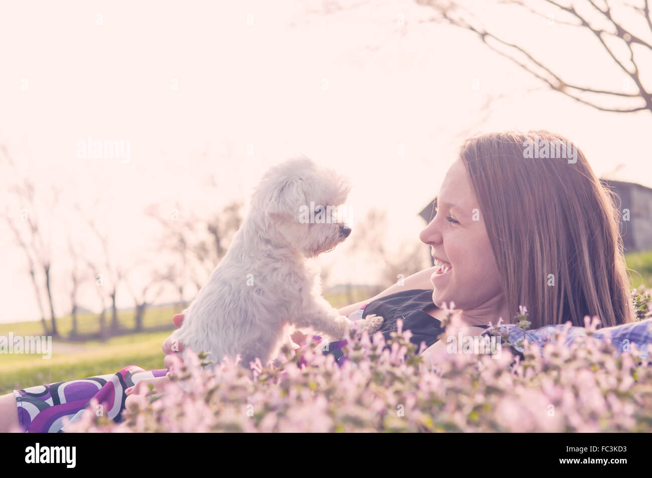 girl and dog in Spring flowers Stock Photo