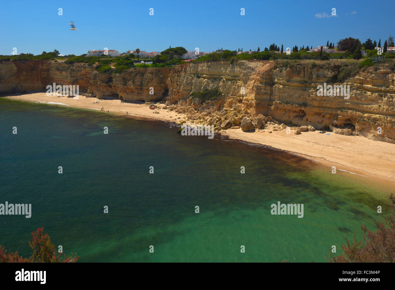 Praia da Senhora da Rocha, Nossa