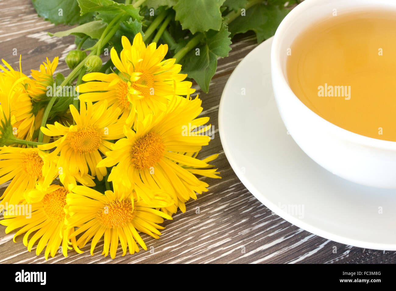 Cough tea with coltsfoot Stock Photo - Alamy