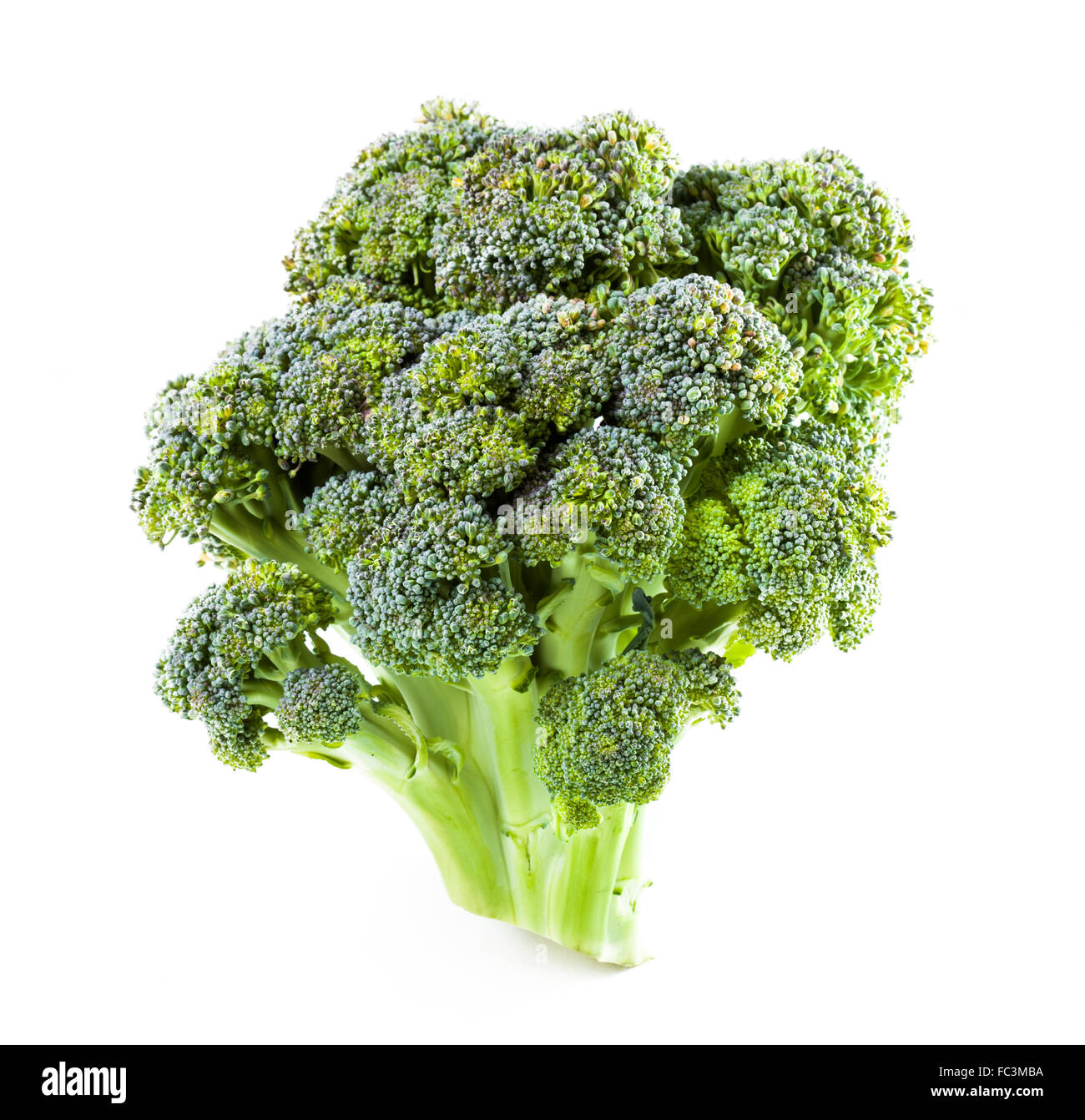 ╨íurd. Broccoli closeup Stock Photo