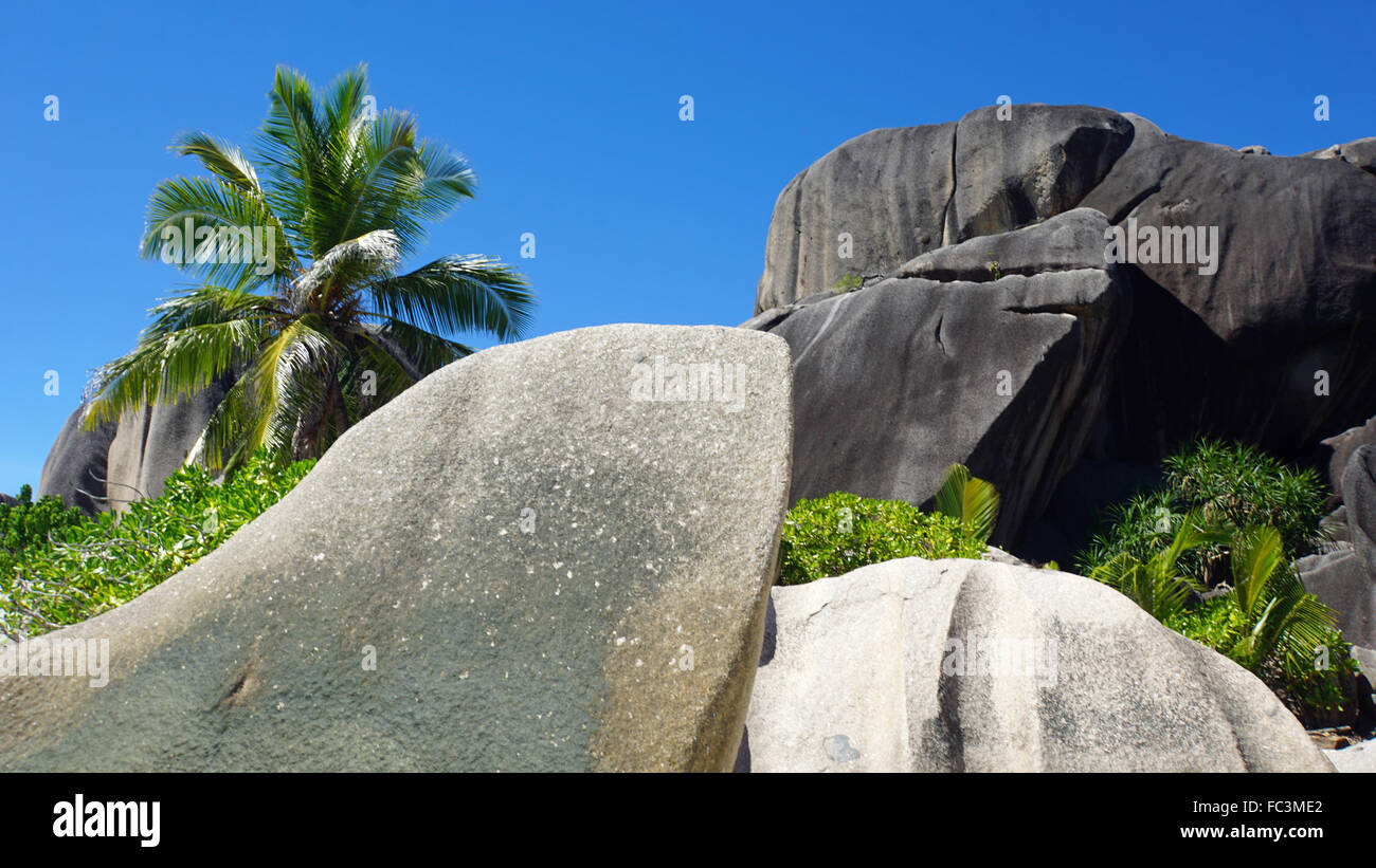 granit rocks on la digue island Stock Photo
