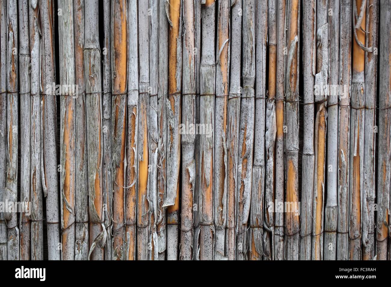 Old Bamboo Stock Photo Alamy