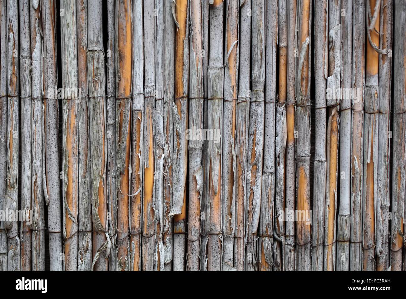 Old Bamboo Stock Photo