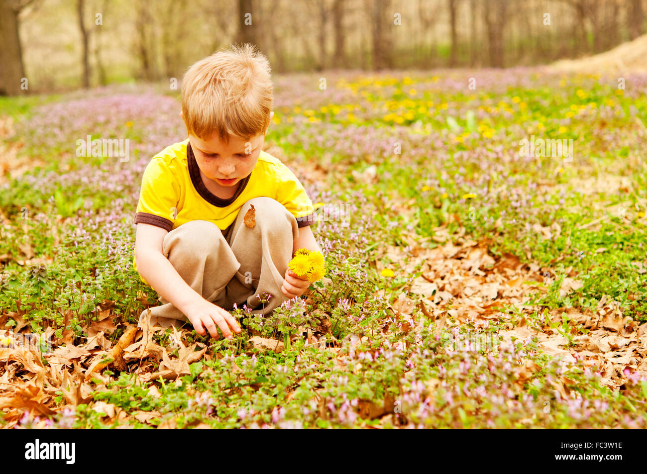 child picking spring flowers Stock Photo