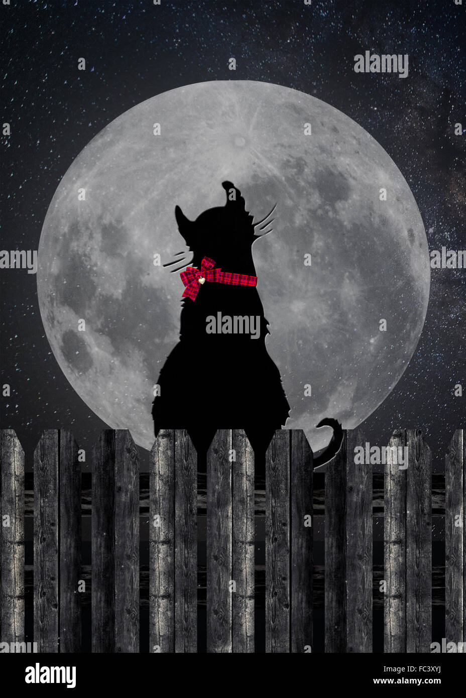 Black cat sitting on wood fence staring at a full moon Stock Photo - Alamy