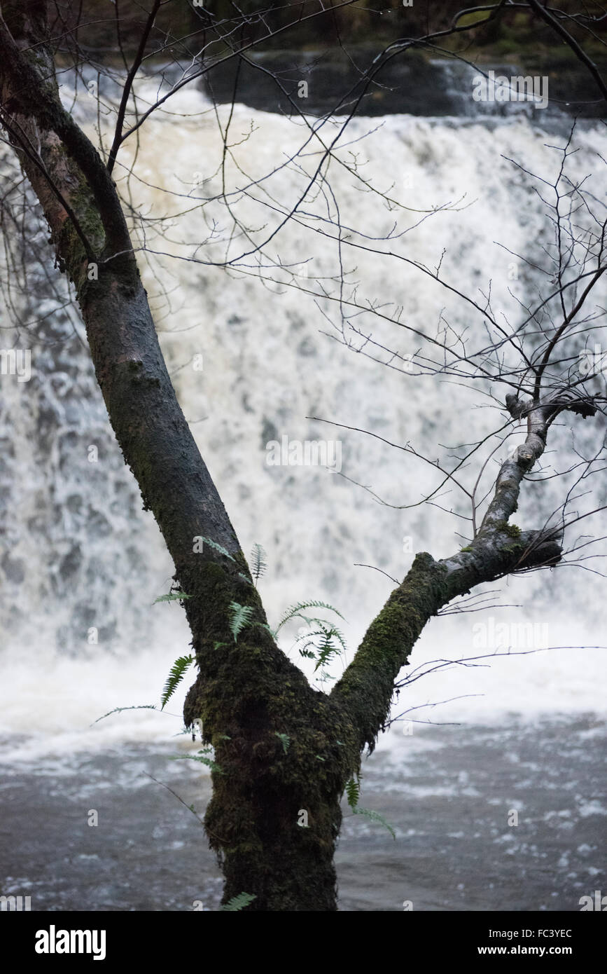 Waterfalls, waterfall country, Brecon Beacons, mid Wales, UK. Tourists ...
