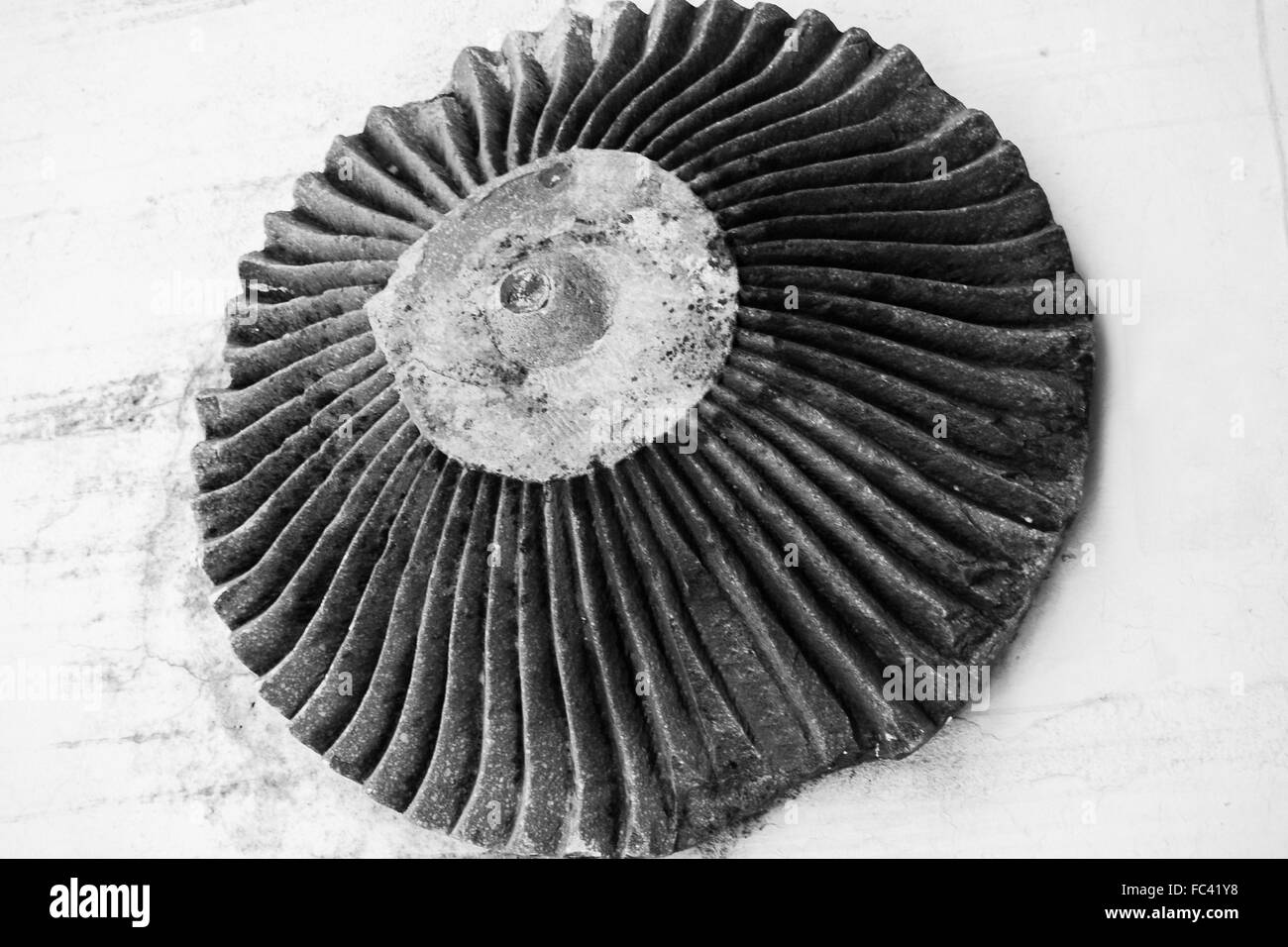 Ancient india Black and White Stock Photos & Images - Alamy