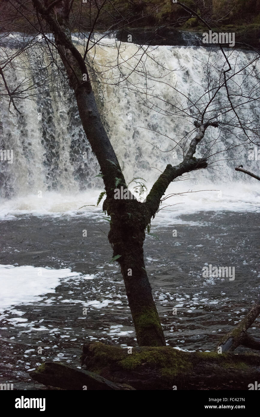 Waterfalls, waterfall country, Brecon Beacons, mid Wales, UK. Tourists ...