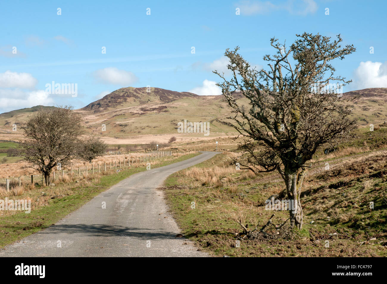 Laurieston moor, Dumfries and Galloway Stock Photo Alamy