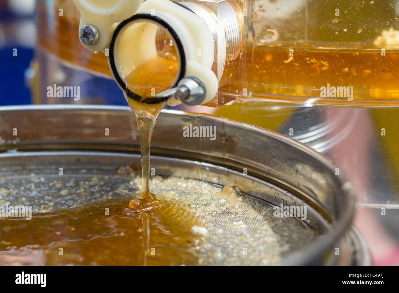 Honey extraction by honey extractor Stock Photo