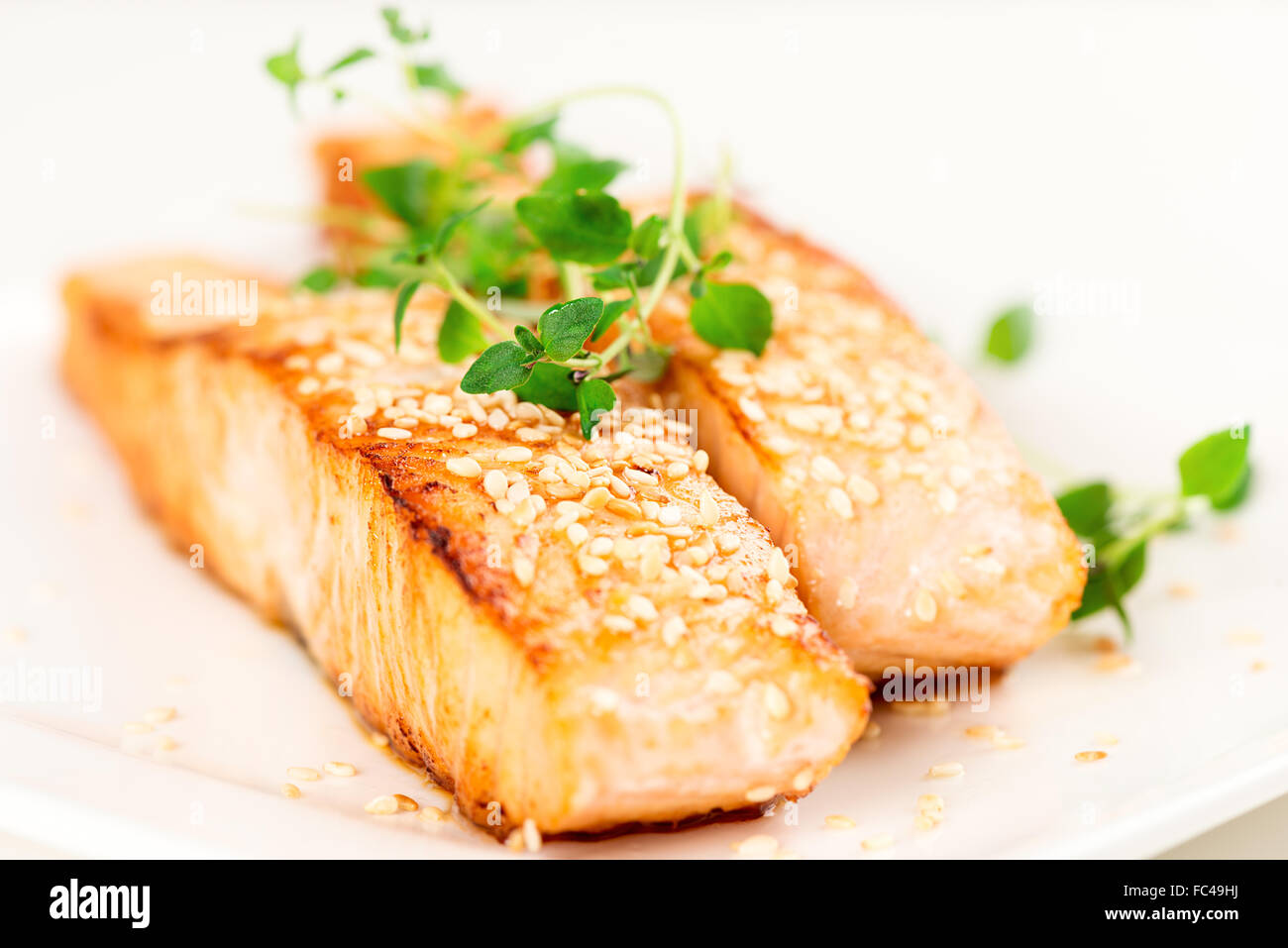 Grilled salmon on white plate shallow DOF Stock Photo - Alamy
