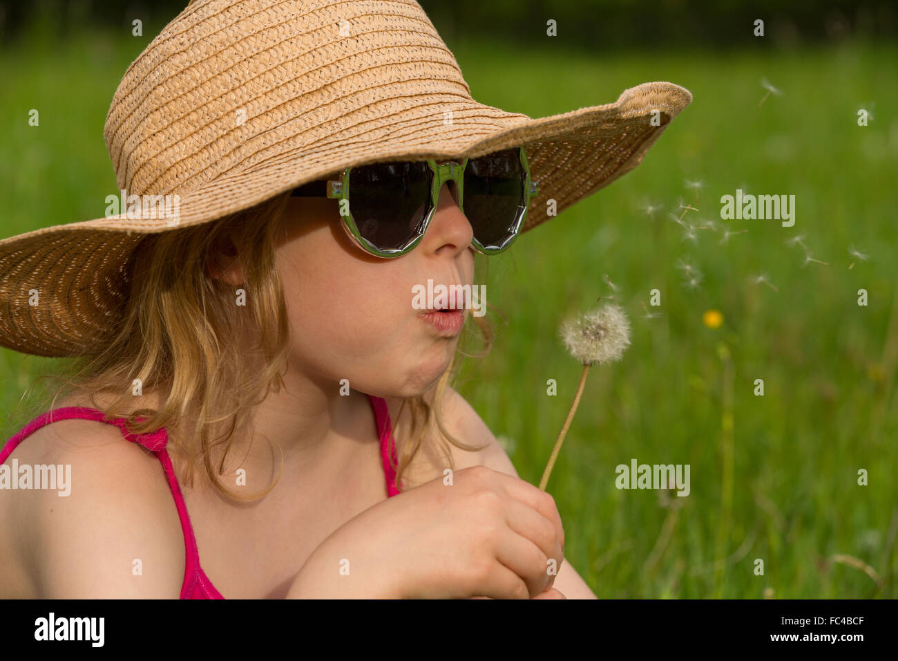 portrait of a little girl with a dandelion Stock Photo - Alamy