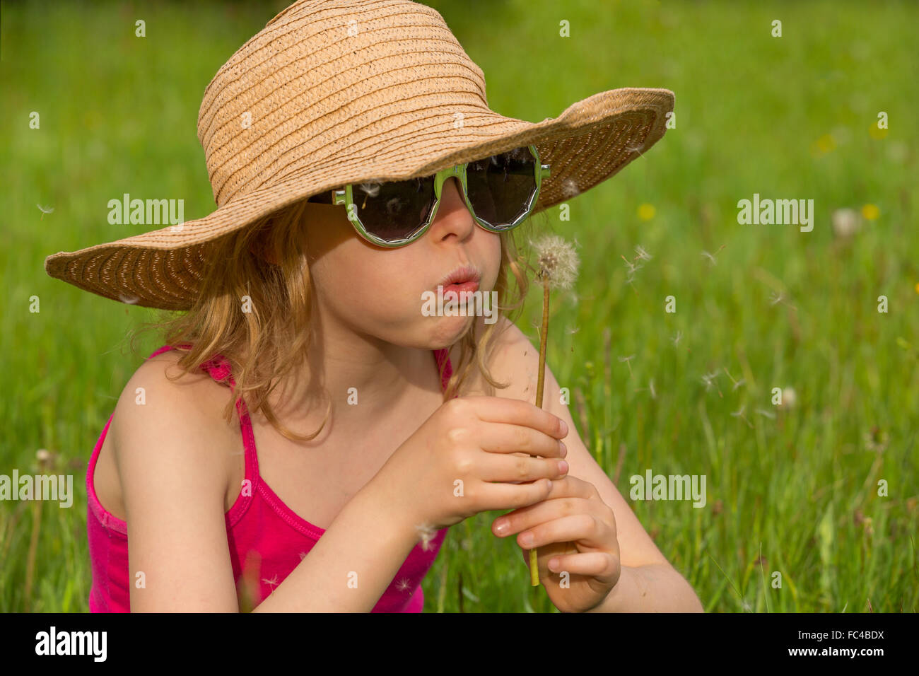portrait of a little girl with a dandelion Stock Photo - Alamy