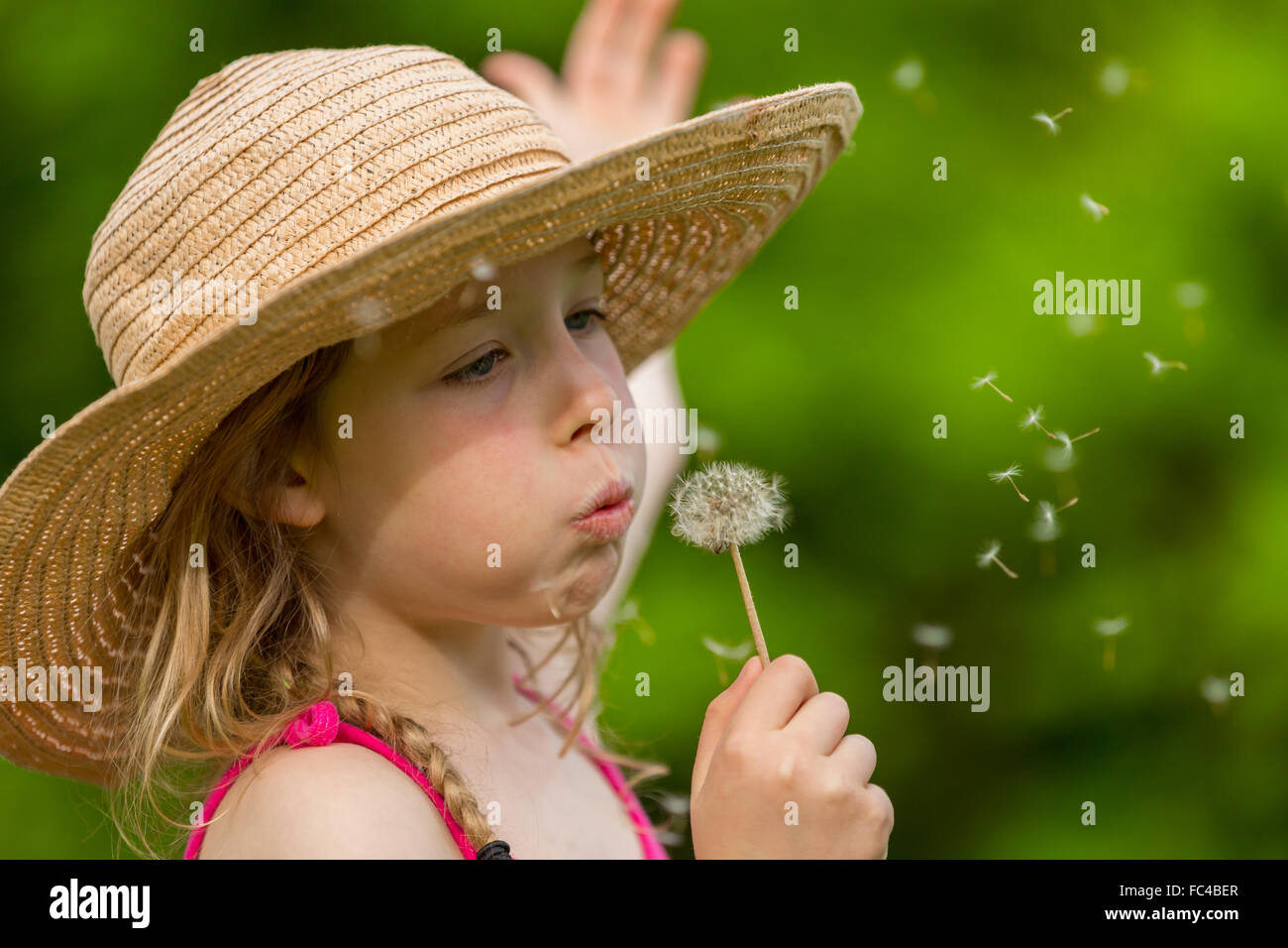 portrait of a little girl with a dandelion Stock Photo - Alamy