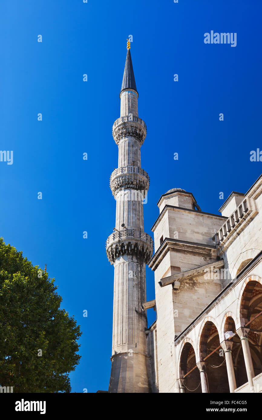Blue mosque in Istanbul Turkey Stock Photo - Alamy