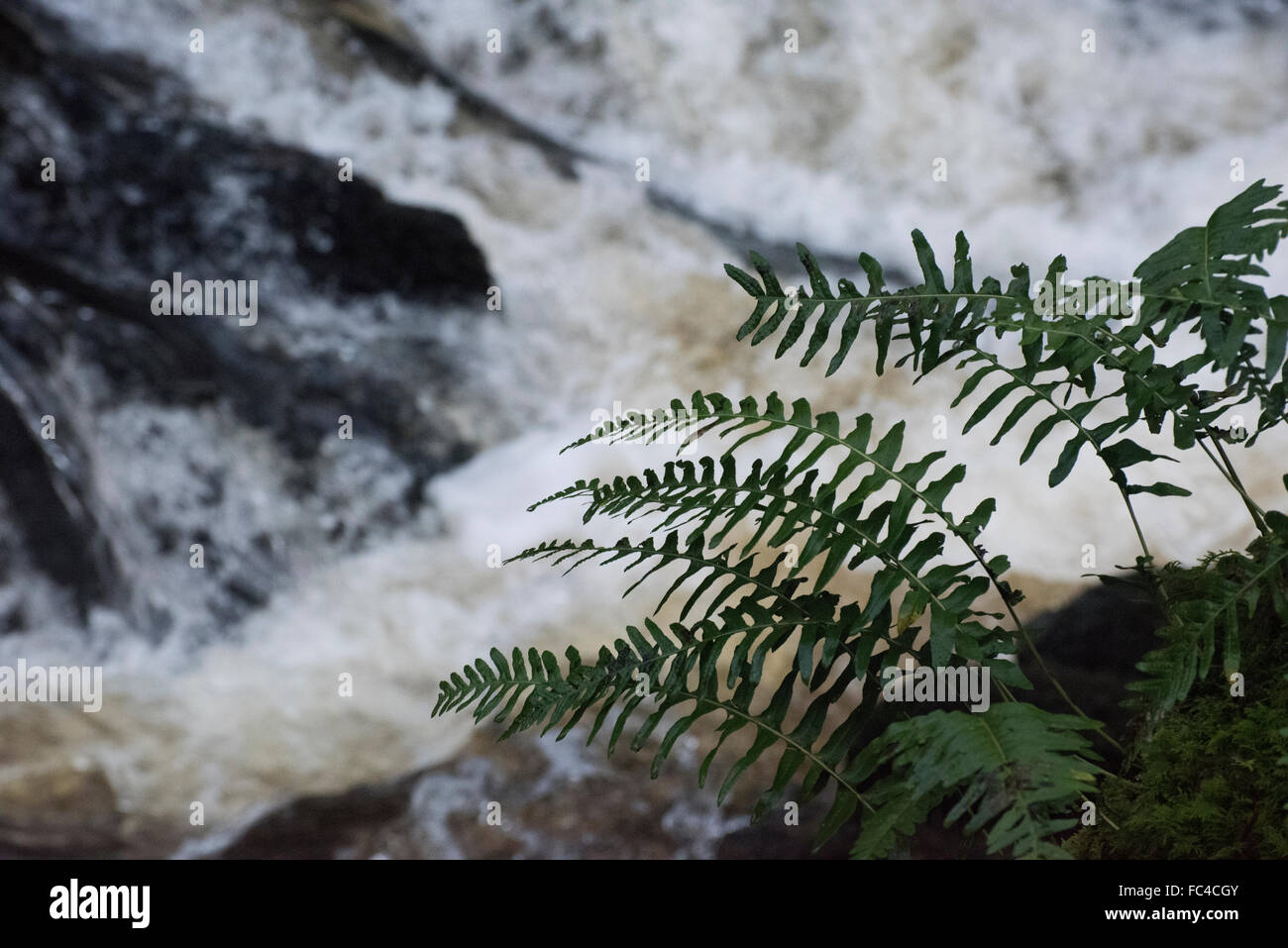 Waterfalls, waterfall country, Brecon Beacons, mid Wales, UK. Tourists ...