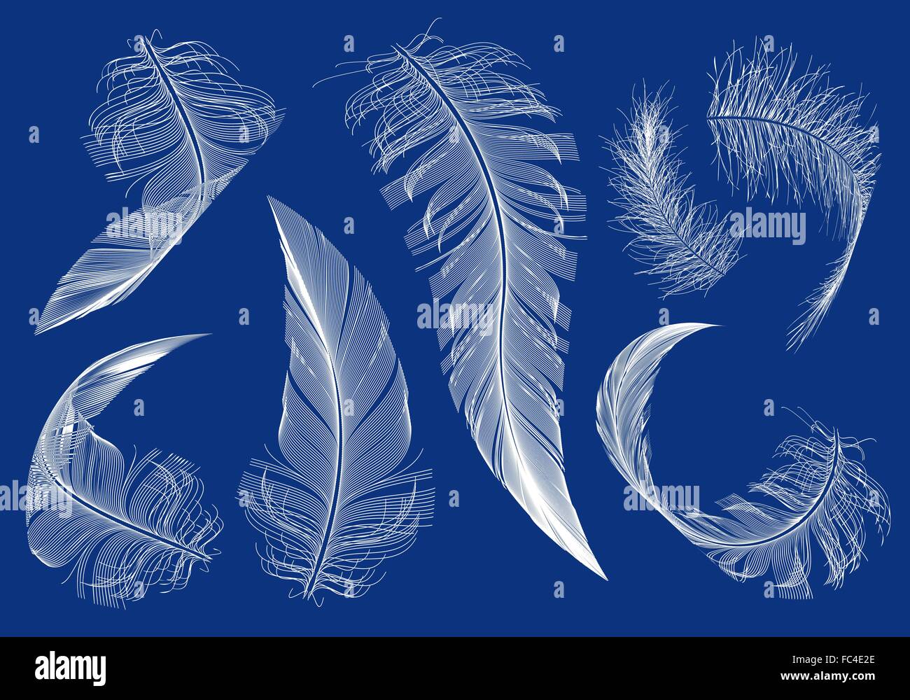 curved flying feathers, set of vector design elements Stock Vector