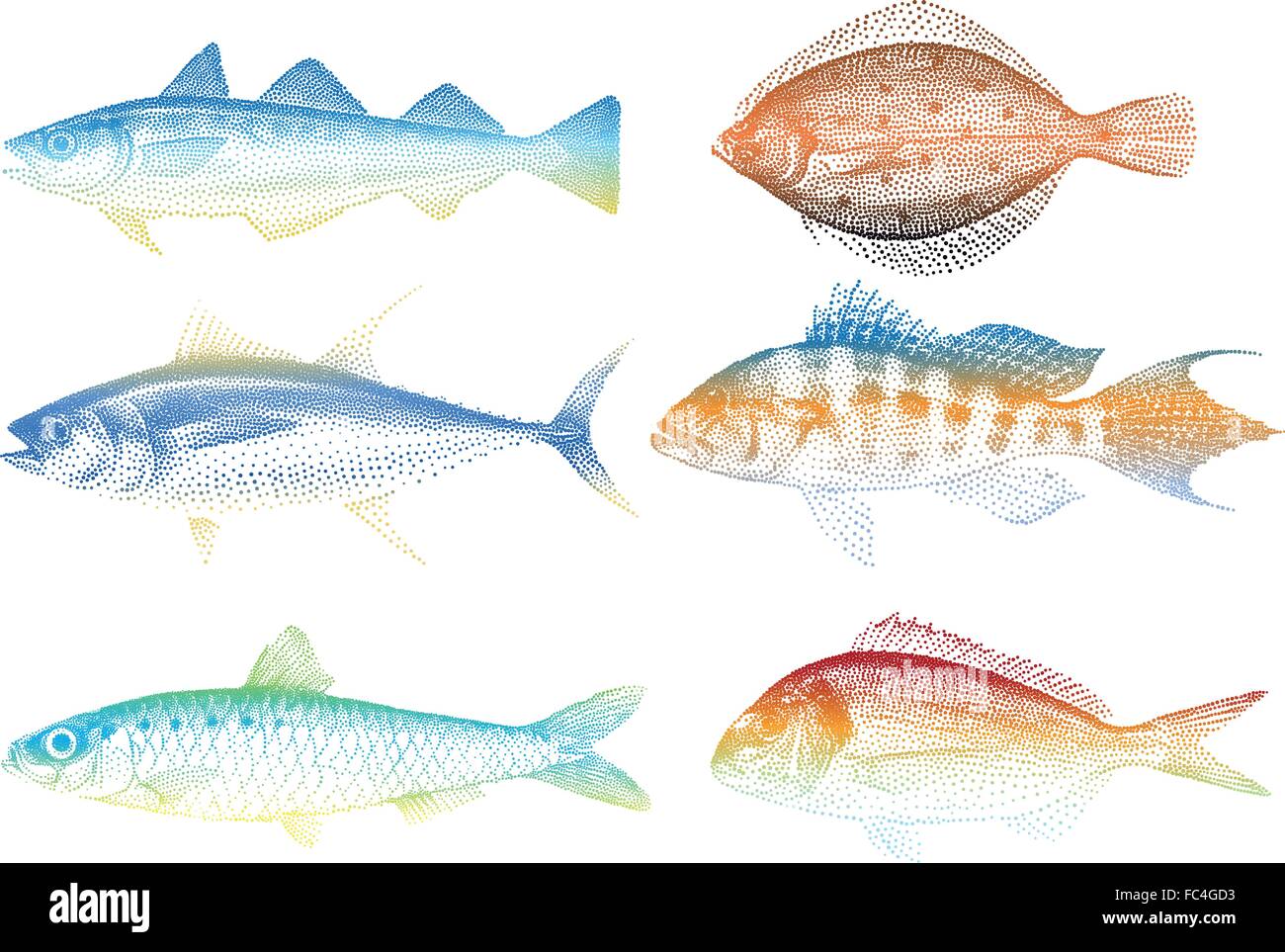set of sea fishes, vector illustration Stock Vector