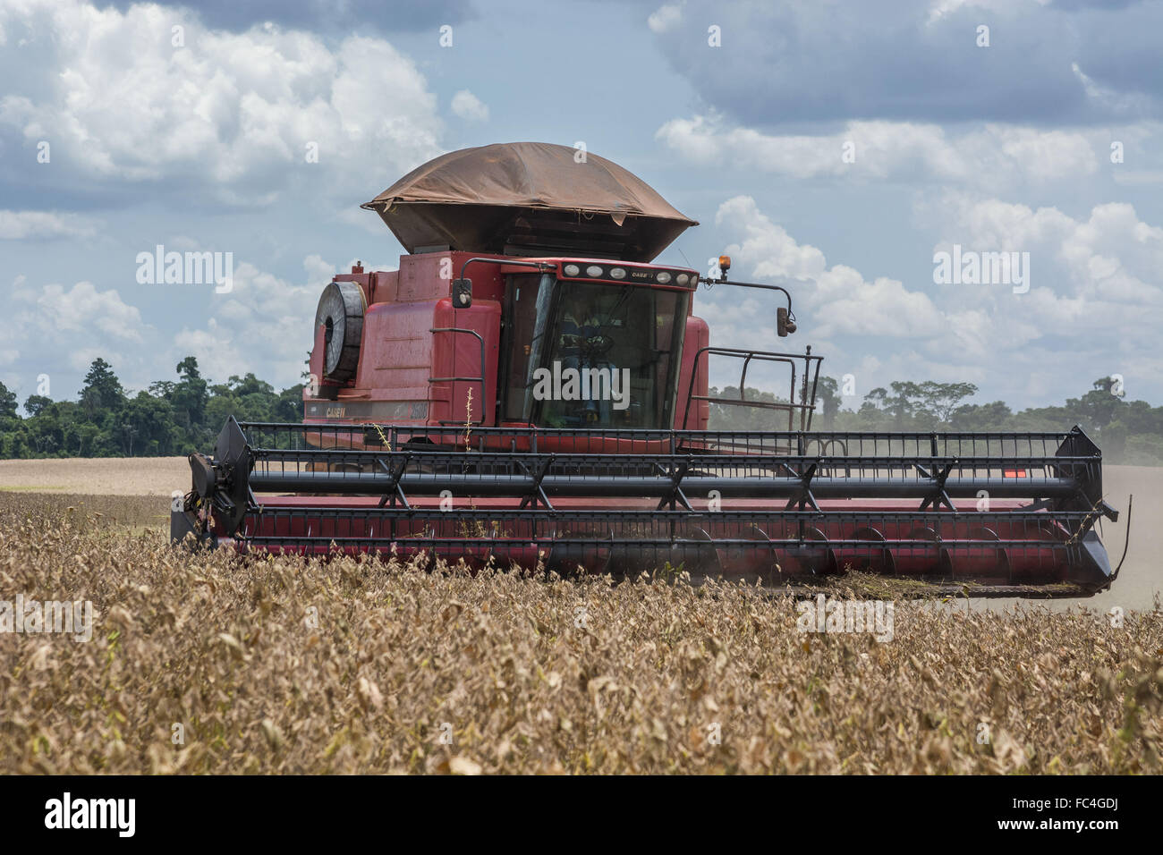 Mechanical harvesting of transgenic soybeans Stock Photo Alamy