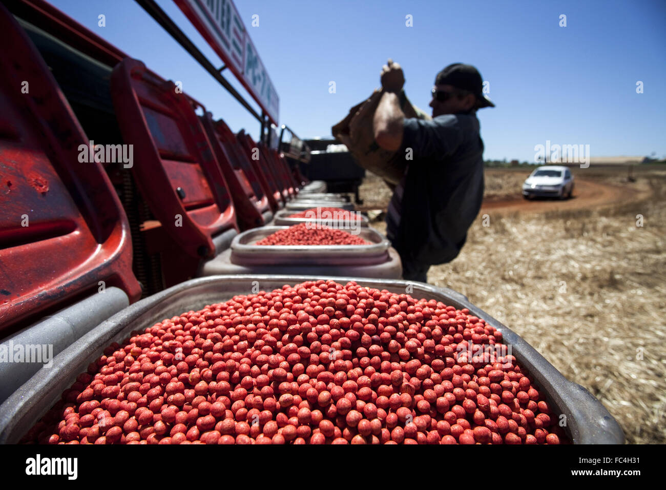 Planter full of seeds for planting soybeans Stock Photo Alamy