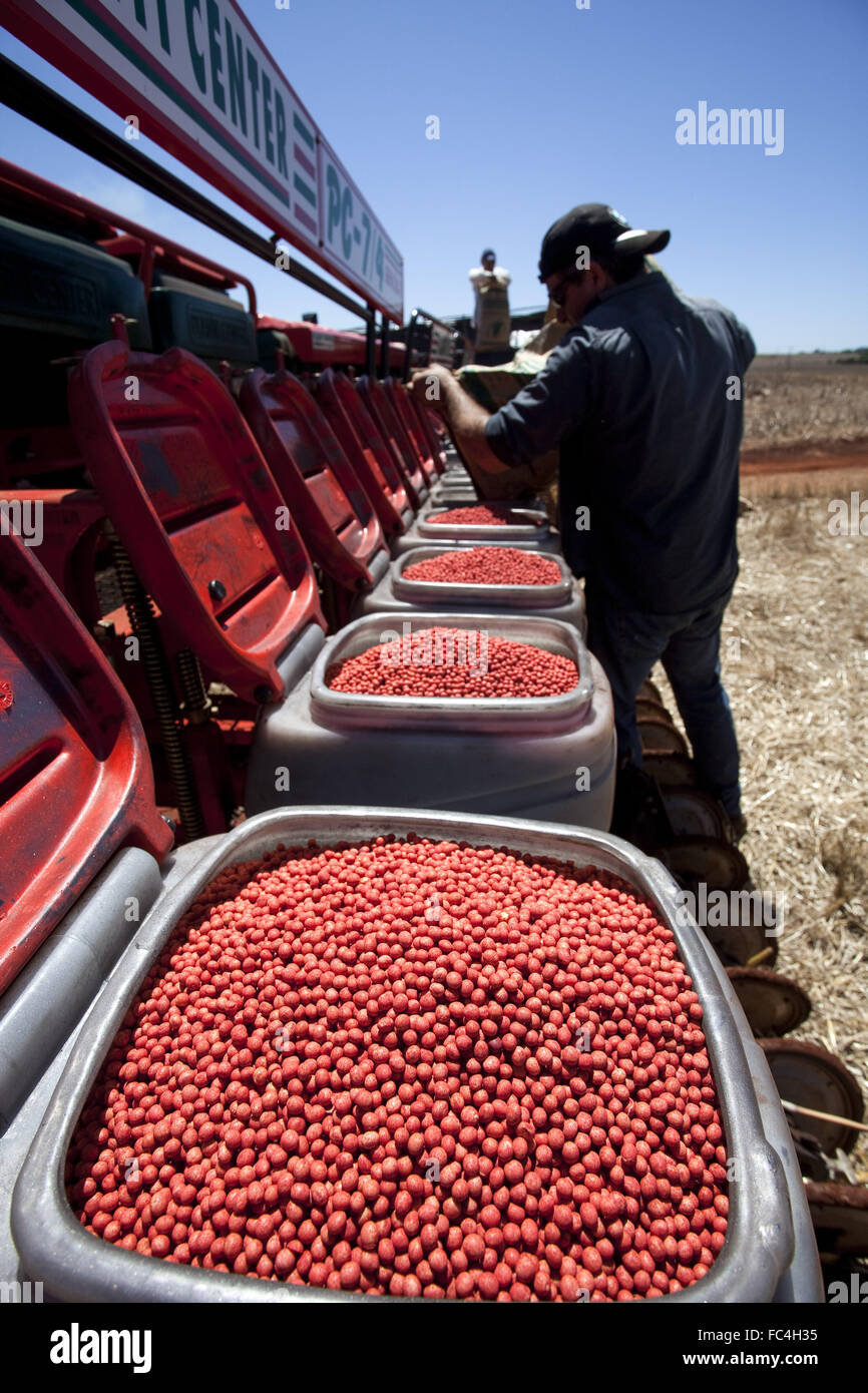 Planter full of seeds for planting soybeans Stock Photo Alamy