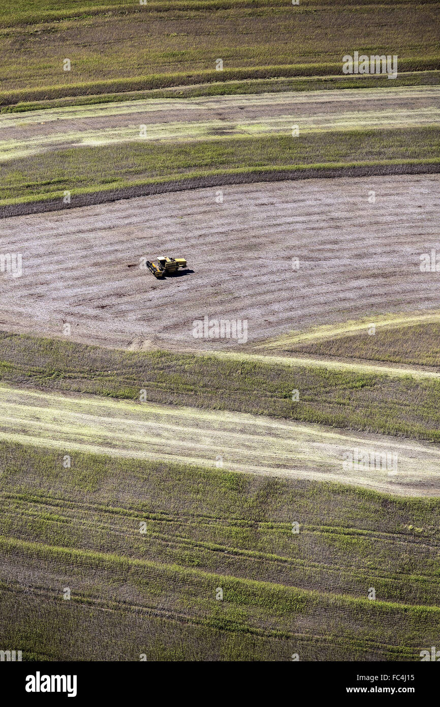Aerial view of soybean mechanical harvesting Stock Photo Alamy