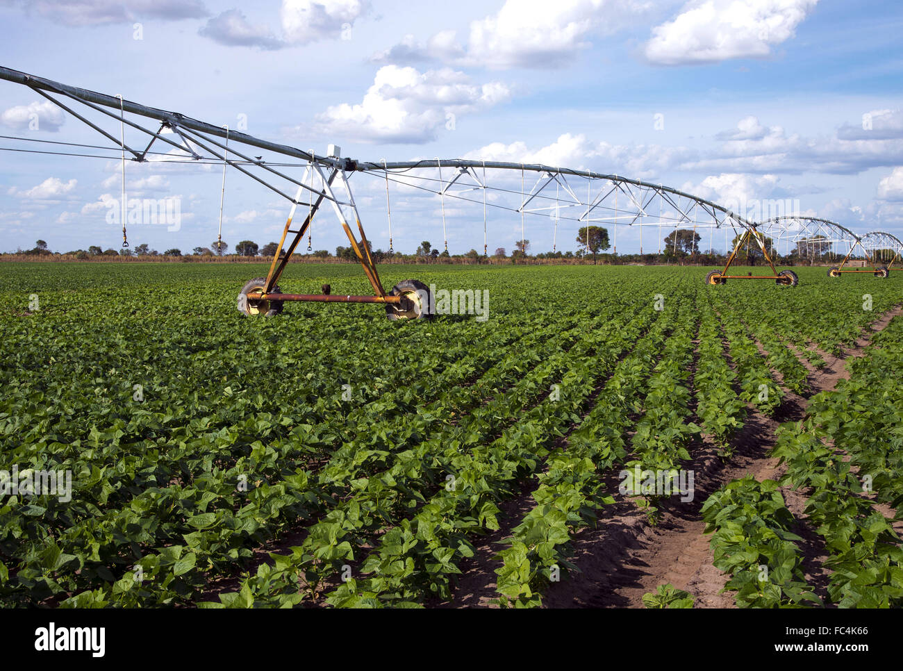 Center pivot irrigation america hi-res stock photography and images - Alamy