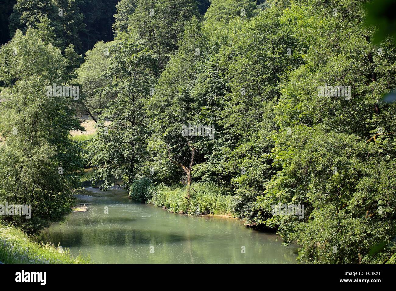 The Wiesent River in Frankonia. Stock Photo