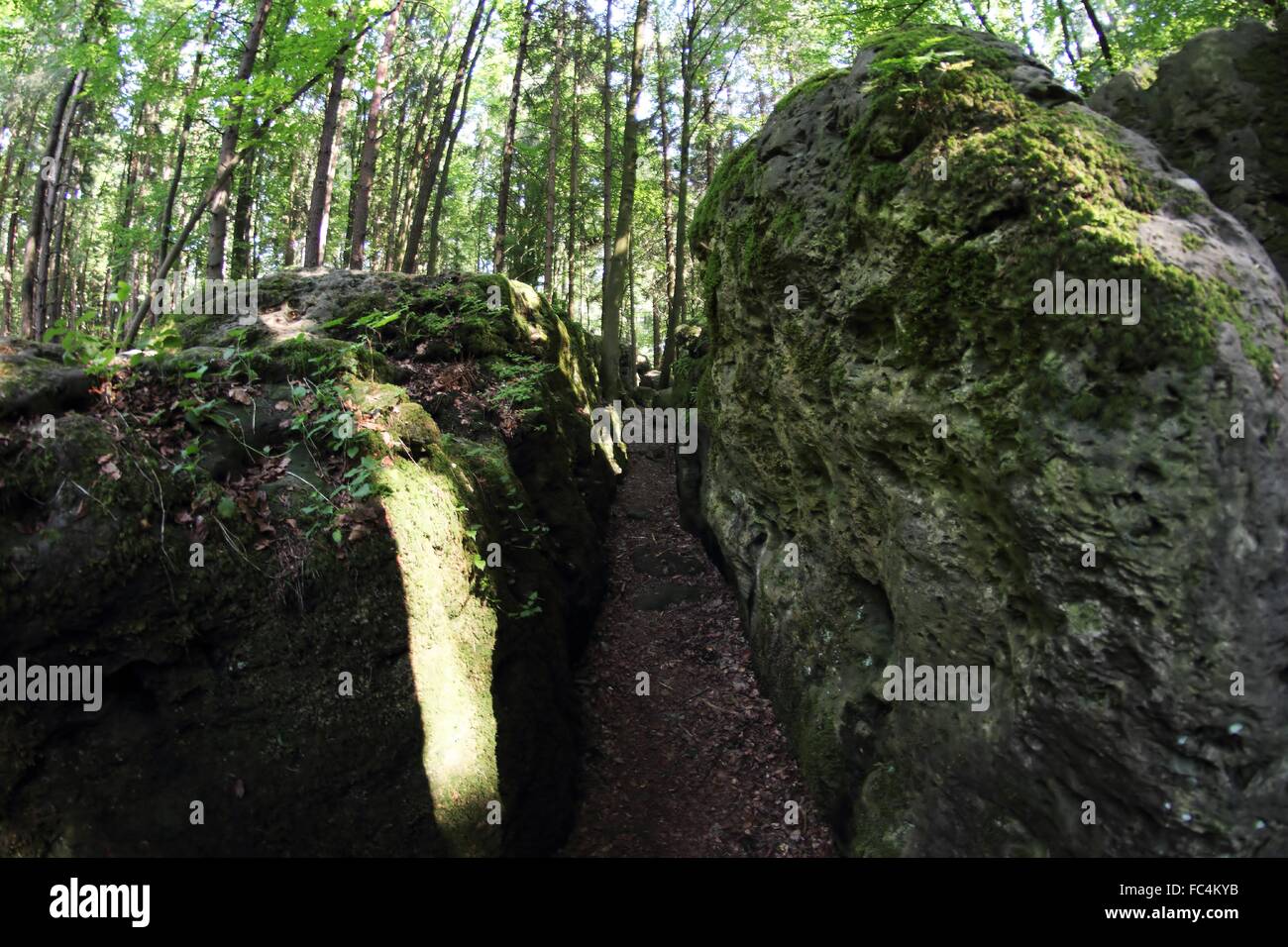 The Druidenhain rocks at the Franconian Alb. Stock Photo