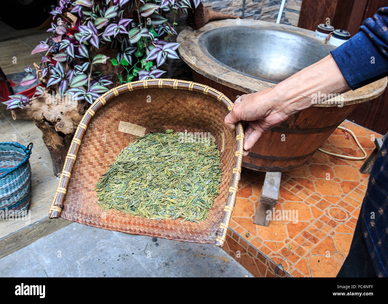 Freshly dried green tea. Stock Photo