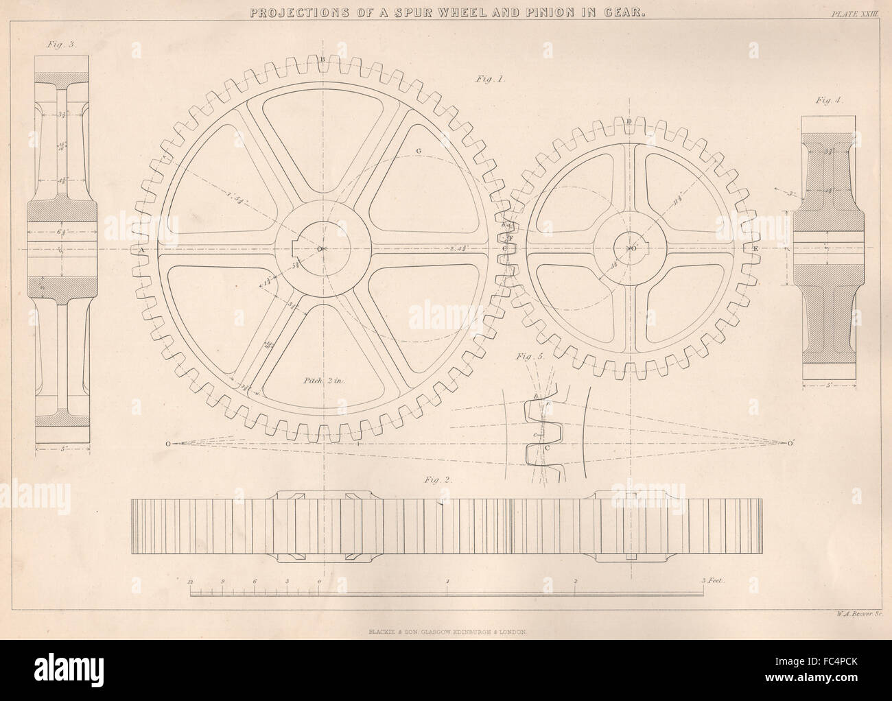VICTORIAN ENGINEERING DRAWING. Spur wheel & pinion in gear. Projections