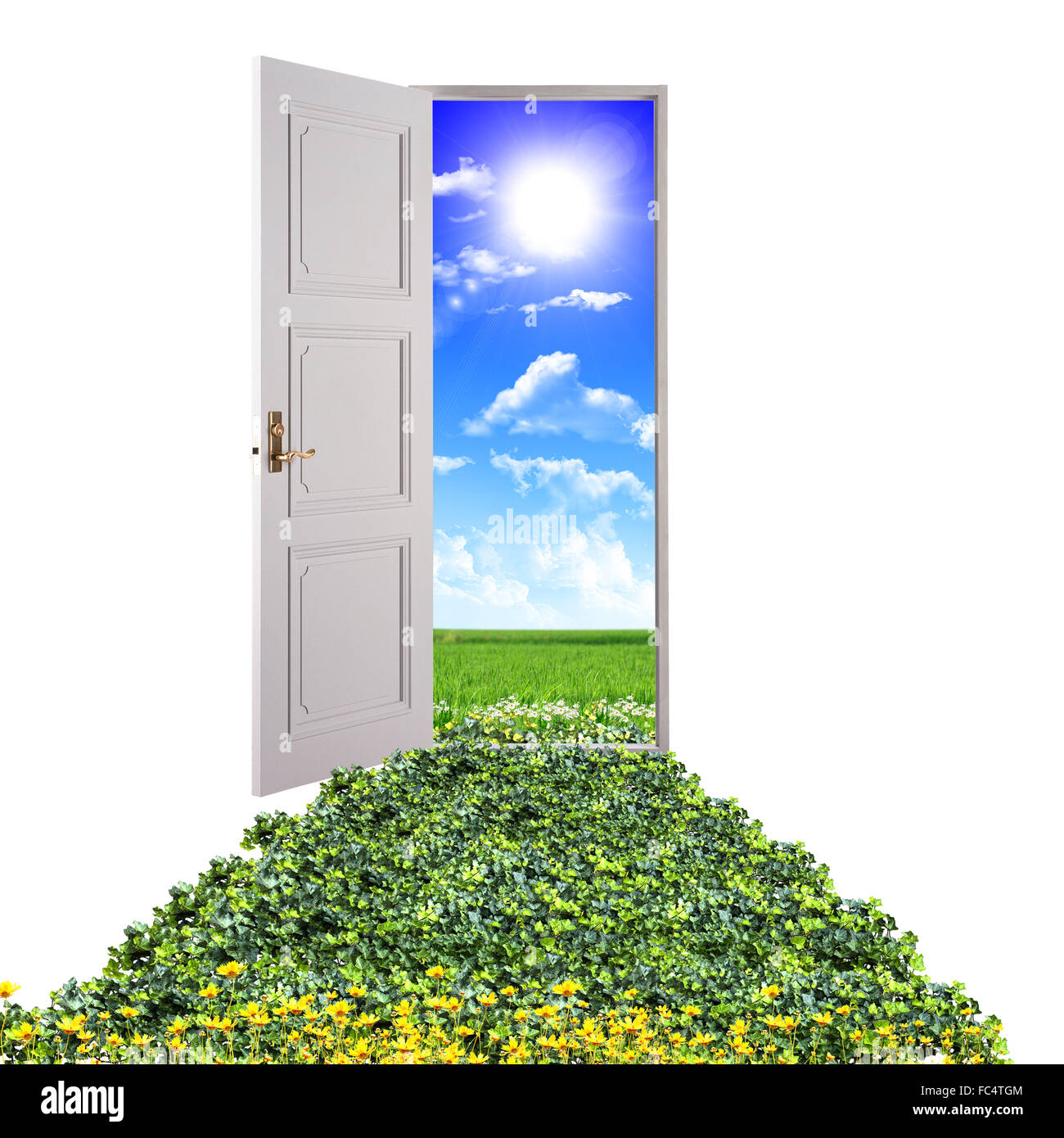 open door leading to beautiful clean nature with green grass and blue sky Stock Photo