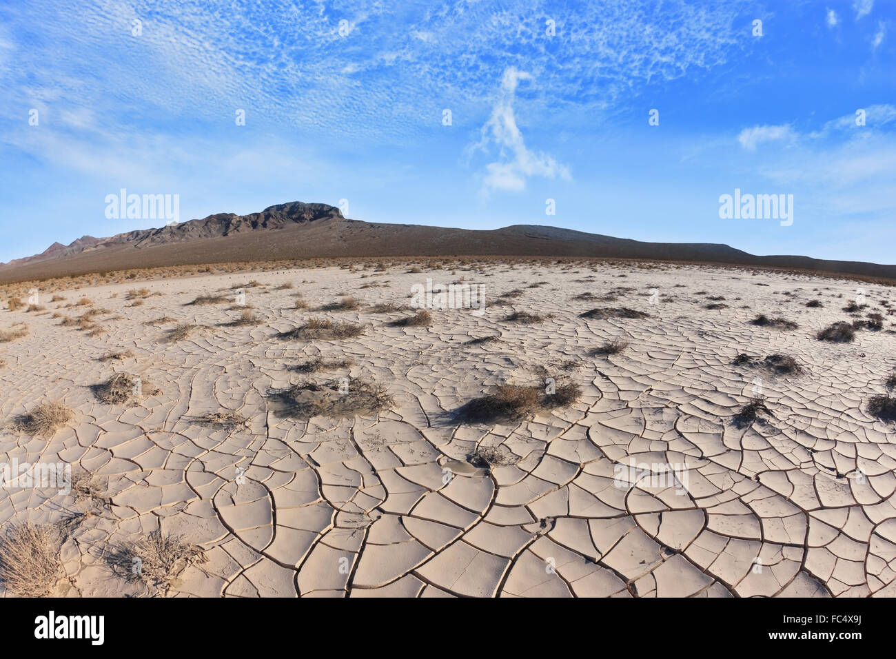 Taken with fisheye fish eye lens hi-res stock photography and images ...