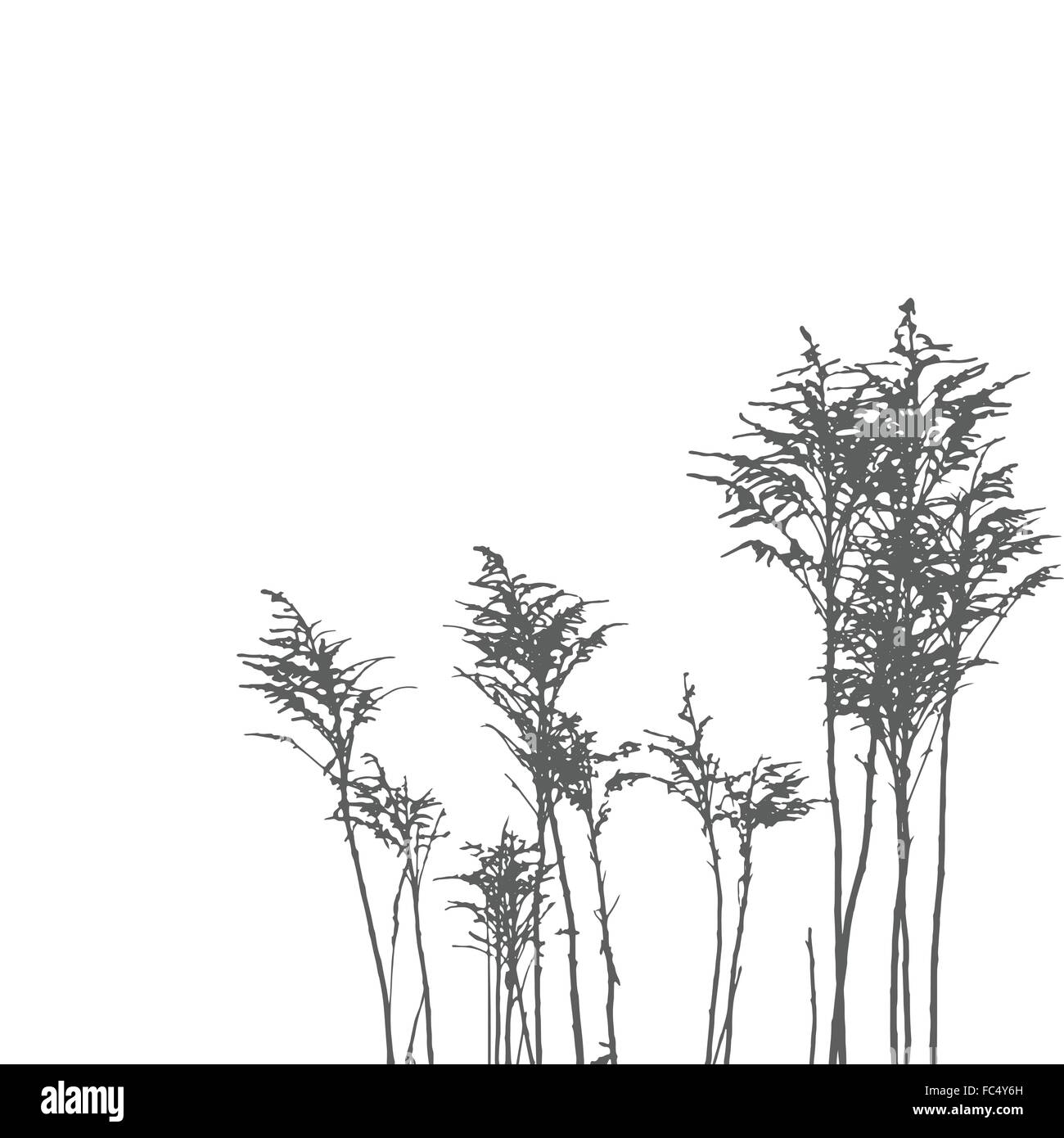 Vector wild herbs Stock Vector Image & Art - Alamy