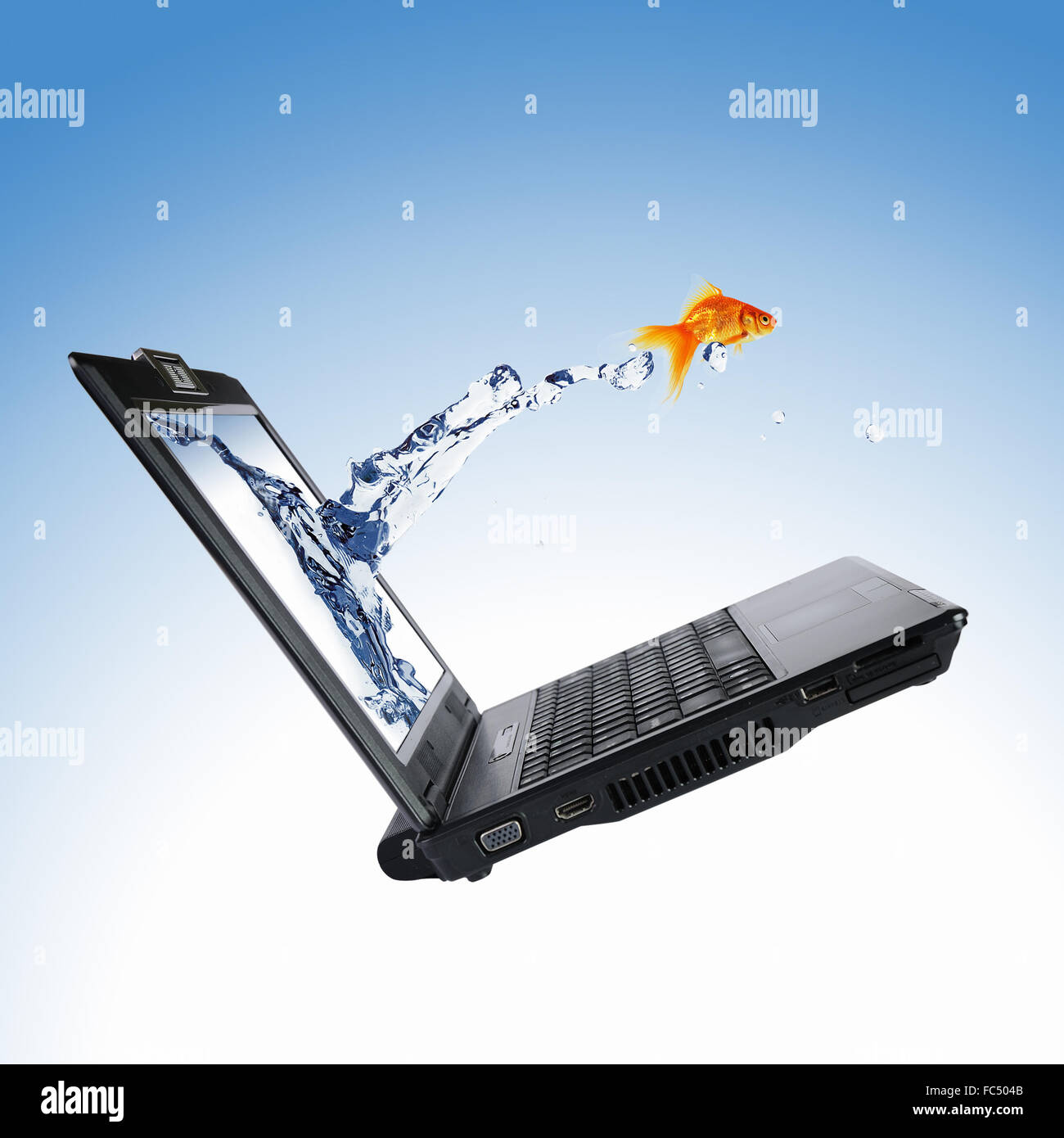 picture of gold fish and laptop computer Stock Photo - Alamy