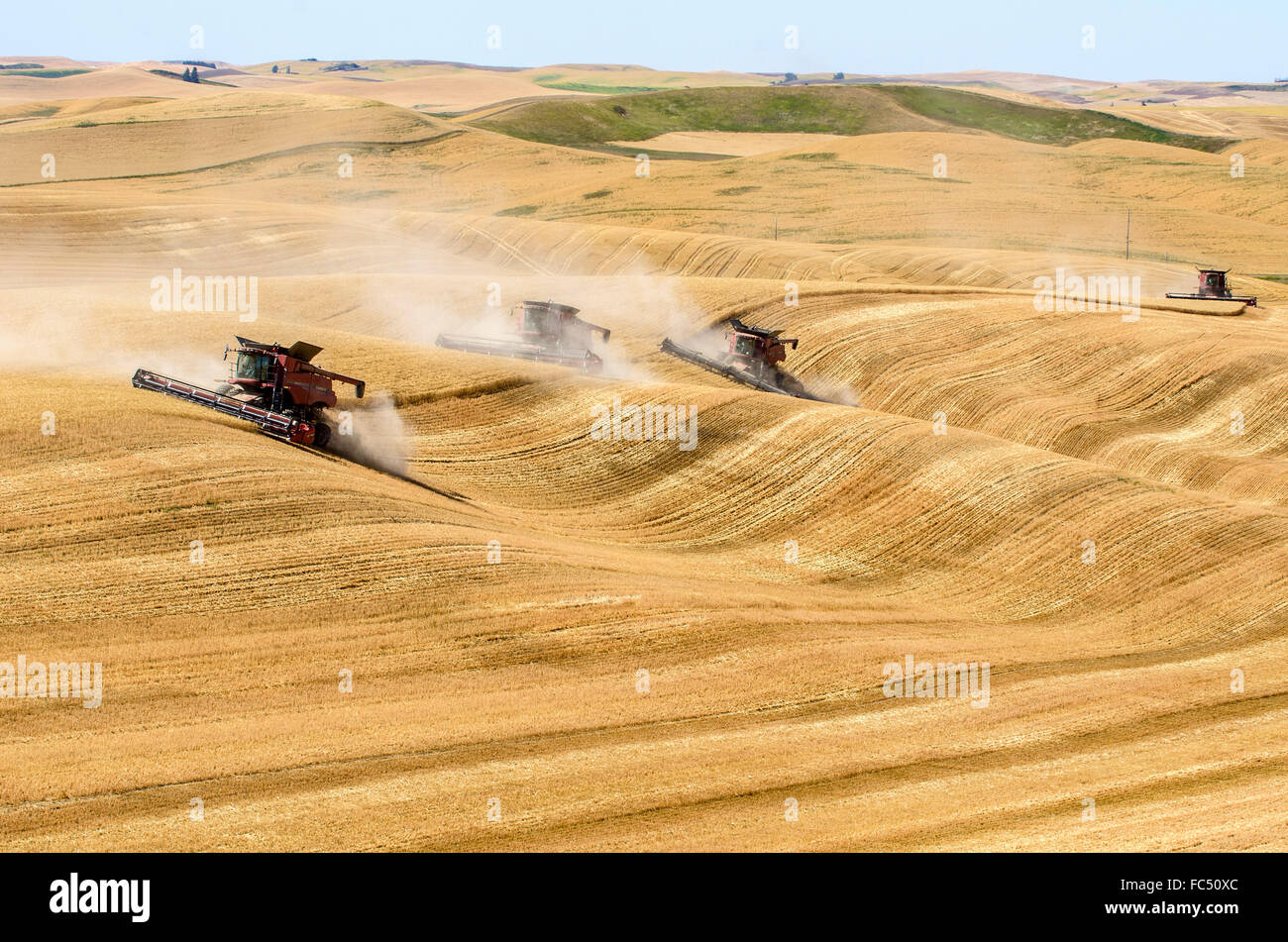Combines harvesting wheat in the Palouse region of Washington Stock