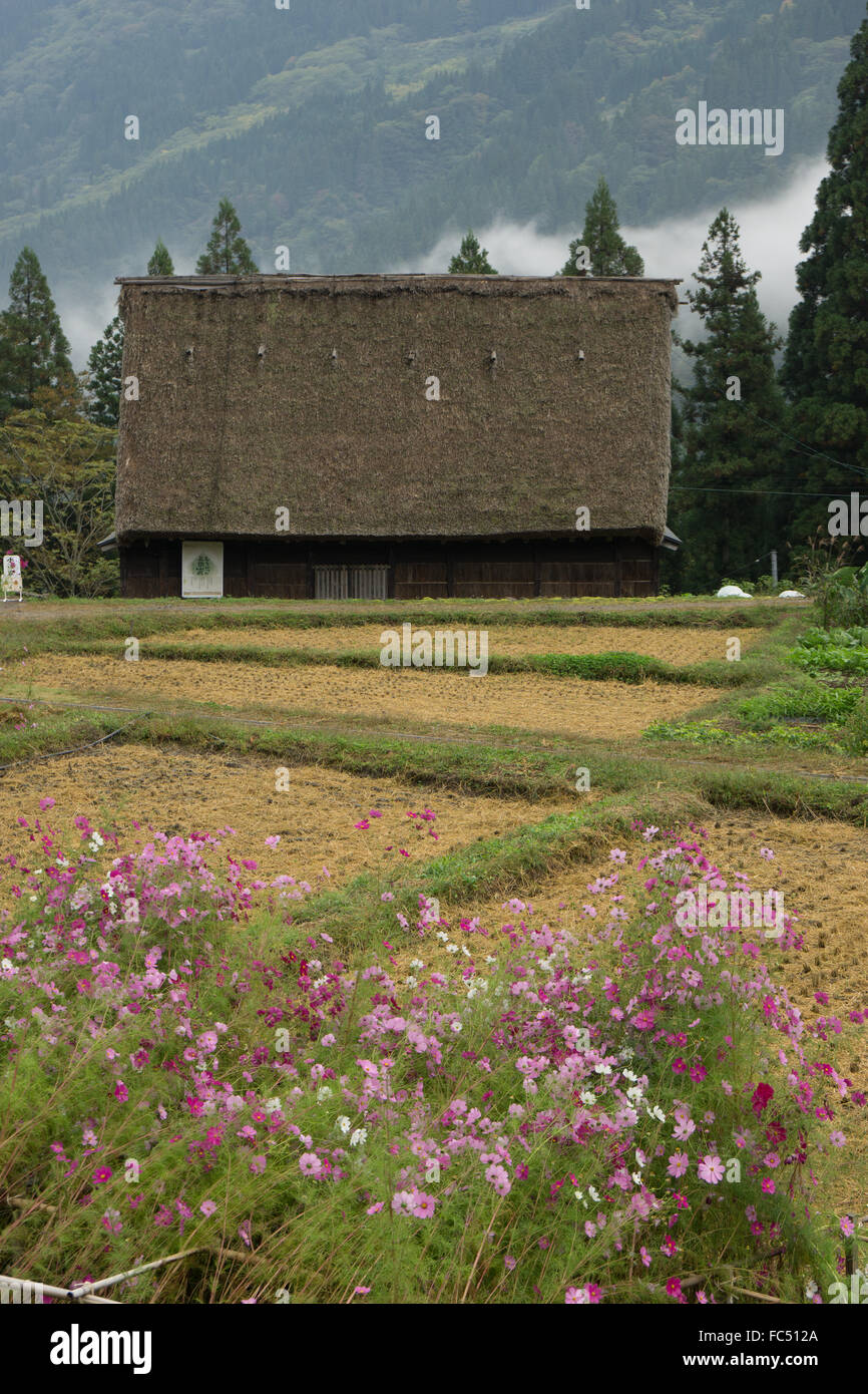 Shirakawago Japan thatched roof buildings World Heritage Site Stock Photo