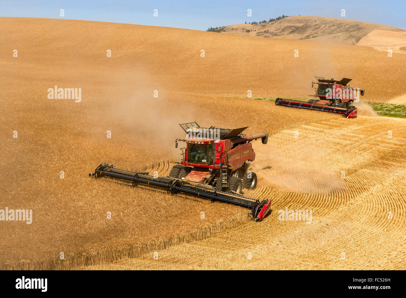 A pair of combines harvesting wheat in the Palouse region of Washington Stock Photo