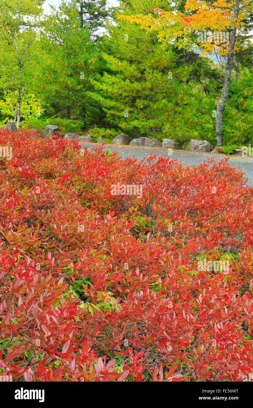 Red Rocks Amphitheatre High Resolution Stock Photography and Images - Alamy