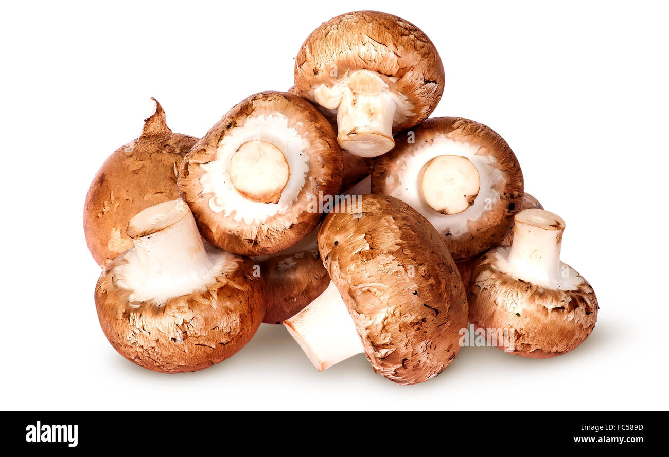 Pile of fresh brown champignon top view isolated on white background Stock Photo